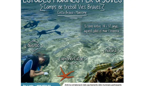 Els camps de treball Vies Braves estan dedicats a les ciències del mar