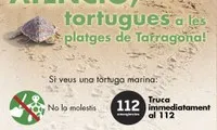 Per formar part de la Xarxa de Voluntariat per la Tortuga cal contactar amb l'Ajuntament de Tarragona o amb les entitats ambientals 