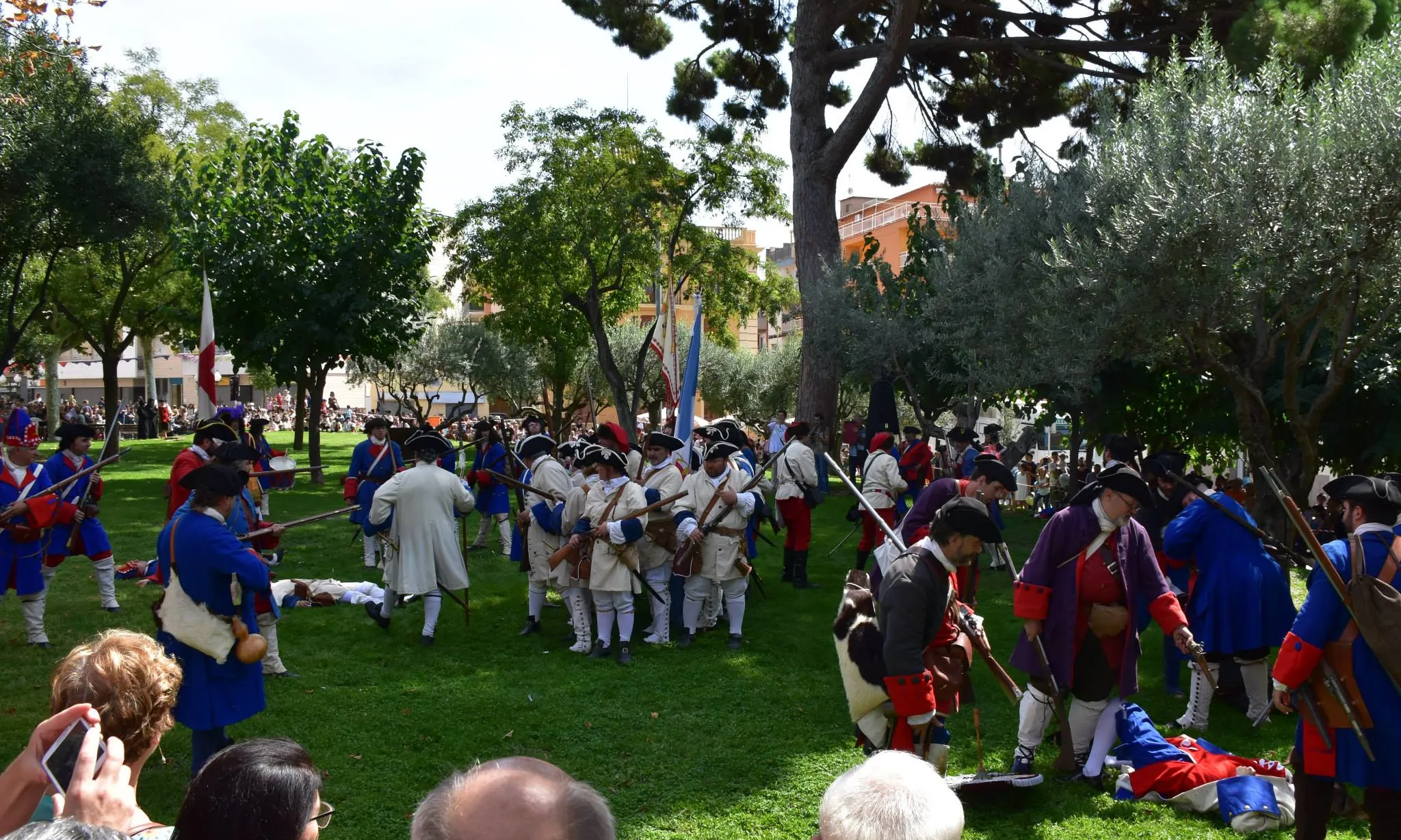 Imatge de la batalla.