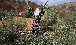 L'exèrcit israelià ataca les comunitats camperoles palestines