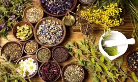 Fitoteràpia, medicina amb plantes.
