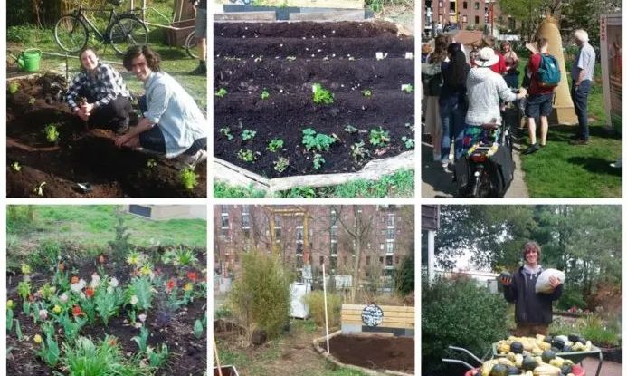 Collage de fotos d'un jove voluntari a Amsterdam