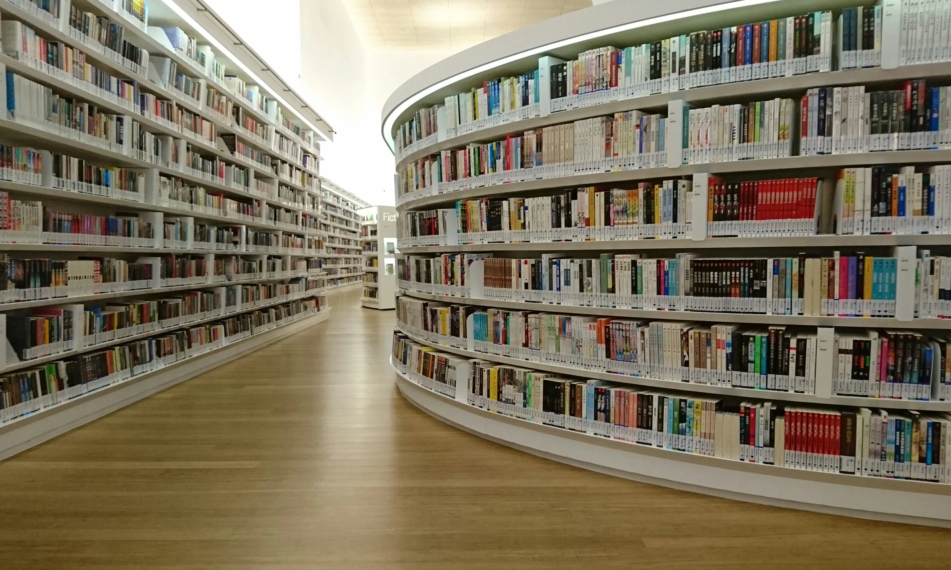 Imatge biblioteca plena de llibres
