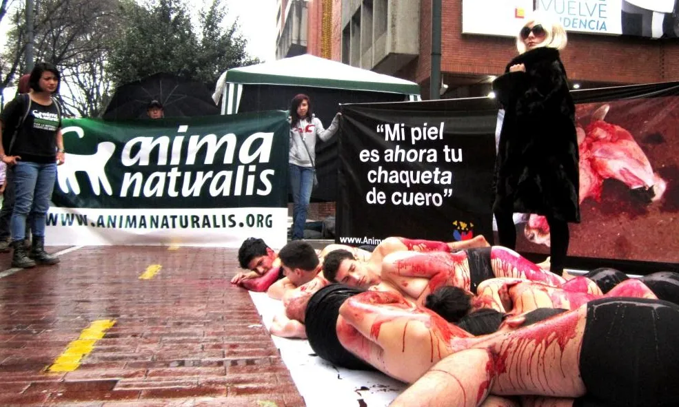 Una  'perfomance' d'Anima Naturalis contra l'ús de pells 