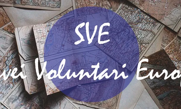 Voluntariat de permacultura 