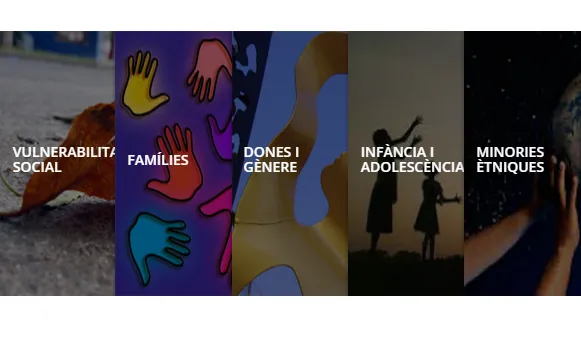 Activitats de Vincle