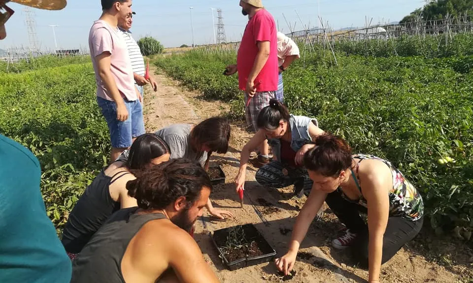 Un grup de persones treballant en un hort