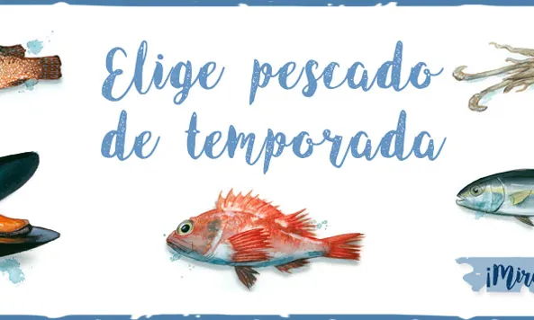 La guia de Greepeace "Pescado de temporada" es pot descarregar al mòbil
