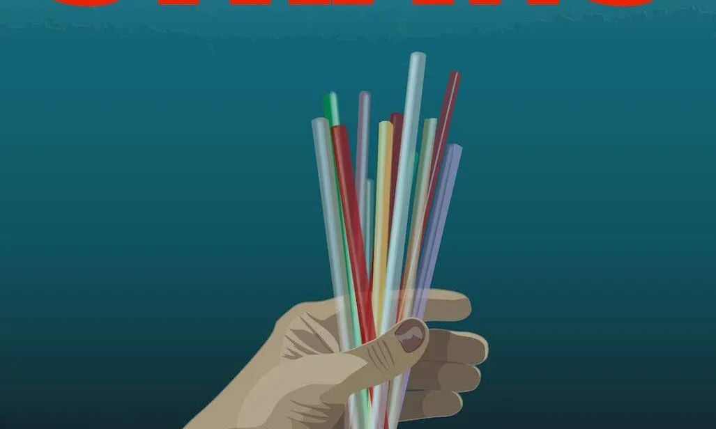 El cicle ofereix curtmetratges de qualitat cinematogràfica, com Straws