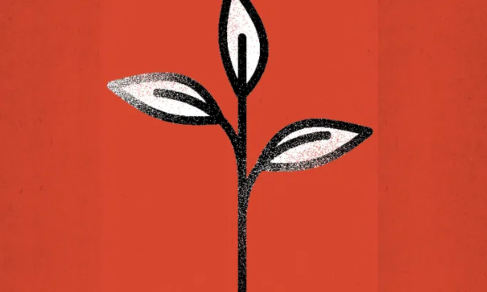 Il·lustració d'una planta germinant