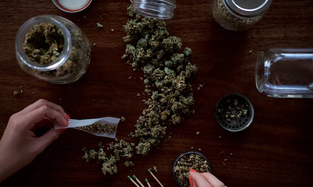 Cabdells de marihuana. 
