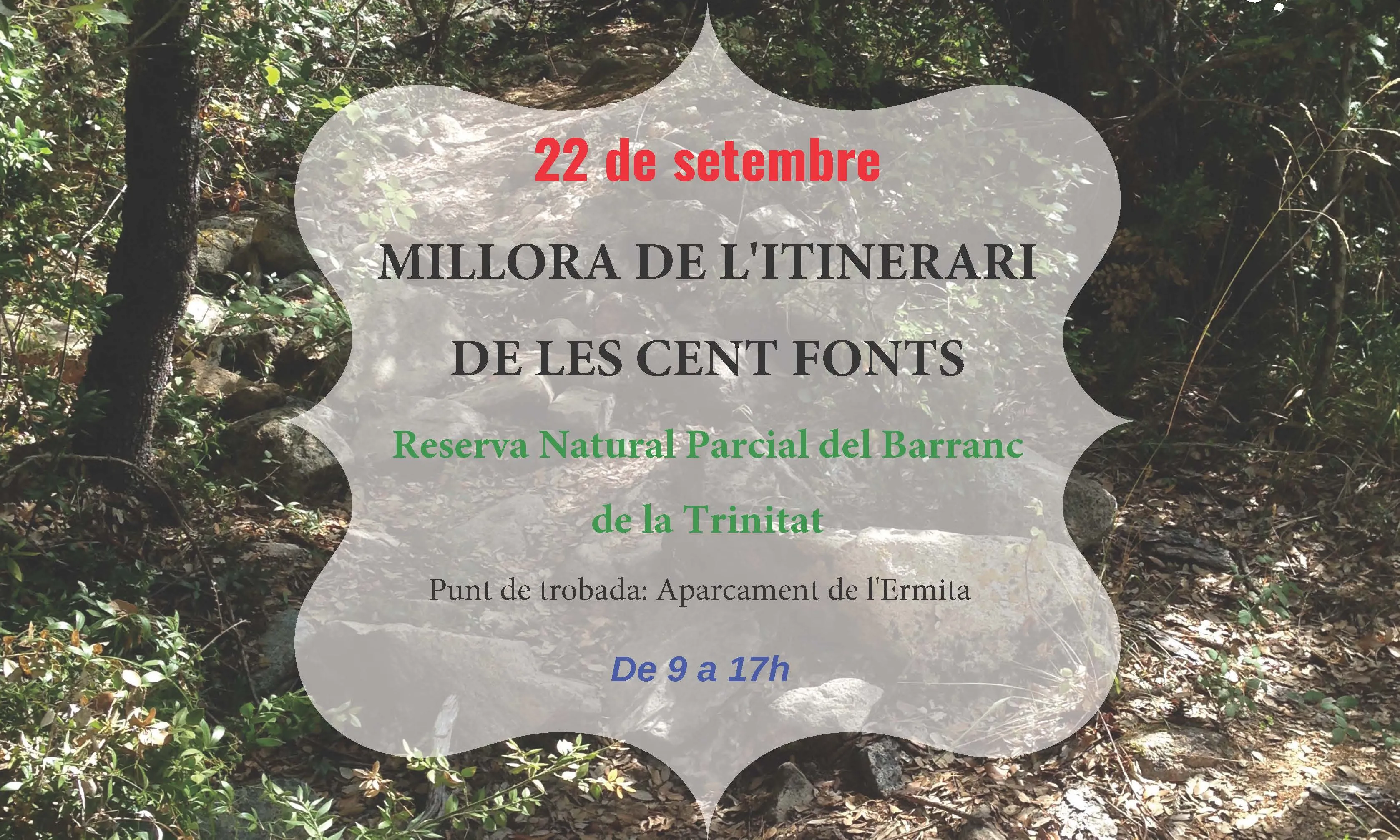 Durant la tardor es duran a terme diverses accions de voluntariat ambiental 