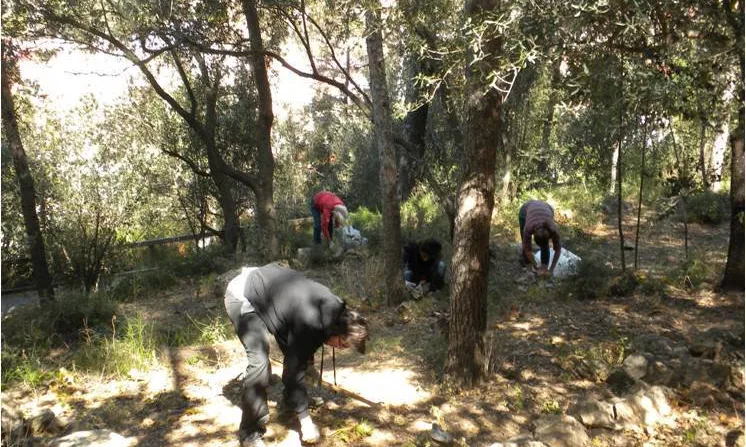 El Bosc de Turull és un bosc al mig del barri de Gràcia on es realitzen activitats ambientals i comunitàries