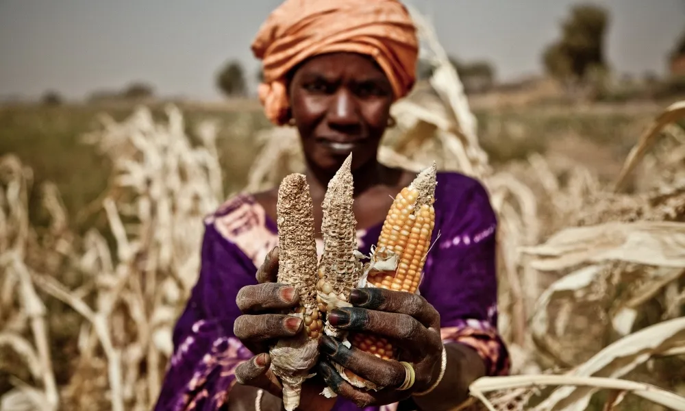 Emergència Alimentària Àfrica i Iemen