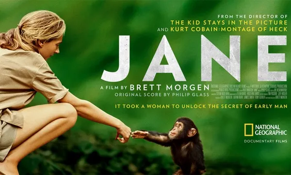 El documental 'Jane', dedicat a Jane Godall, es projecta el 4 de novembre a les 18 hores a CosmoCaixa