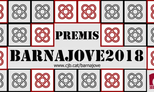 Cartell de la cinquena edició dels Premis Barnajove per a entitats juvenils sense ànim de lucre. 