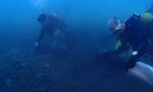 Submarinistes de Vanas Dive en una neteja del fons marí a Barcelona