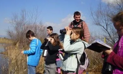 El contacte amb la natura aporta beneficis físics, psicològics i socials als infants