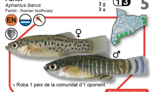 ICTIO és un joc de cartes de divulgació científica al voltant dels peixos d'aigua dolça de Catalunya