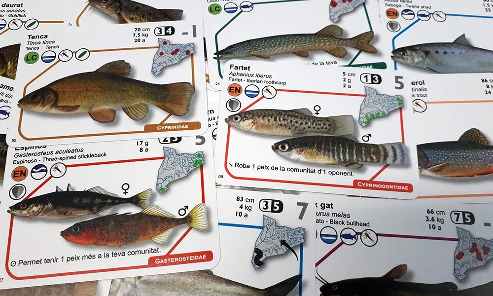 El joc ICTIO és una manera divertida d'aprendre sobre 53 espècies de peixos i sobre els ecosistemes d'aigua dolça