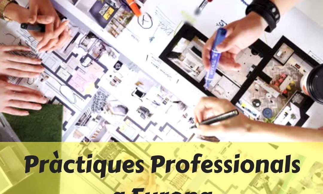 tln joves practiques europa