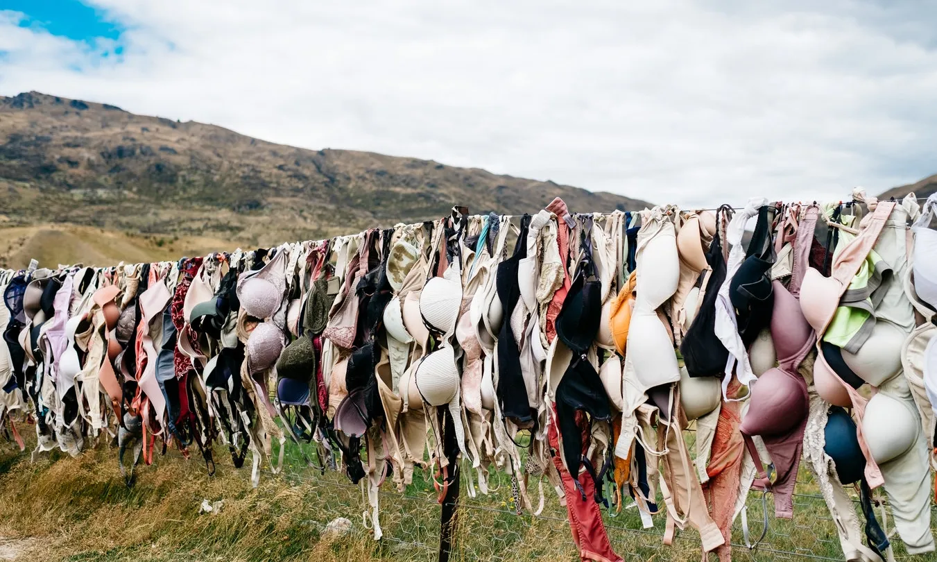 En el context del Dia Internacional de la No Violència contra les dones i les nenes, Novembre Feminista ha creat aquest manifest. Font: Unsplash.