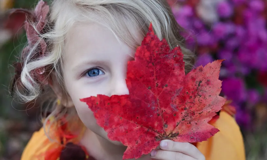 La Fibrosi Quística és una malaltia genètica i hereditària, que es transmet conjuntament sense saber-ho, pel pare i la mare. Font: Unsplash.