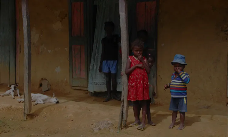 Les cases d'Haití son pic estables