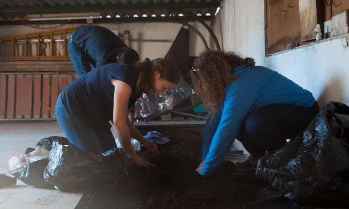 'Up energia', un projecte pioner a Catalunya i a l'Estat espanyol