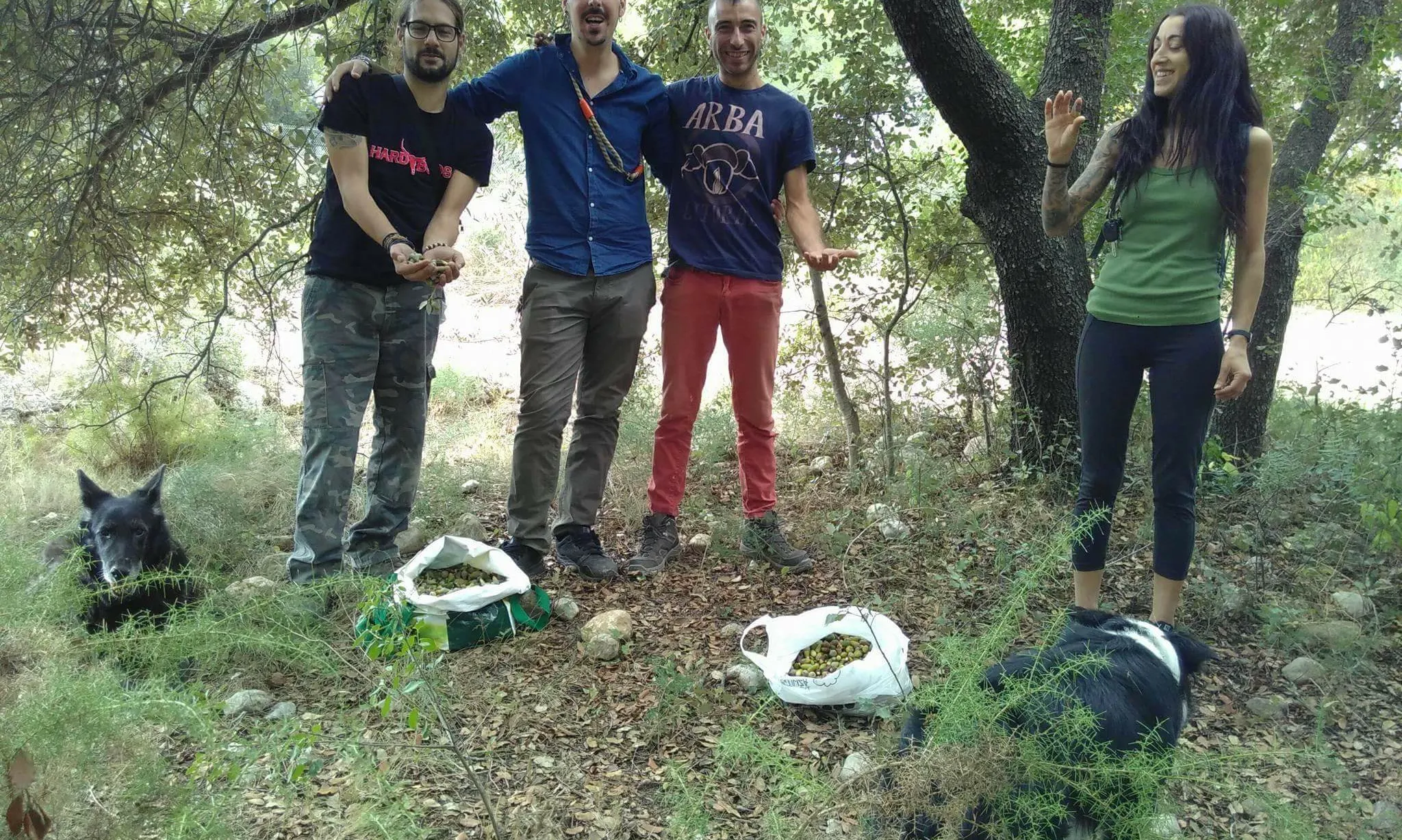 Un grup de voluntariat d'ARBA recol·lectant aglans