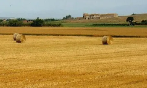 El projecte Paisatges Salvats Paisatges per salvar posa la mirada en els valors socials, culturals i ambientals de tots aquests entorns 