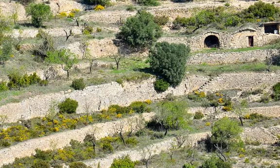 Paisatge de pedra seca a La Fatarella