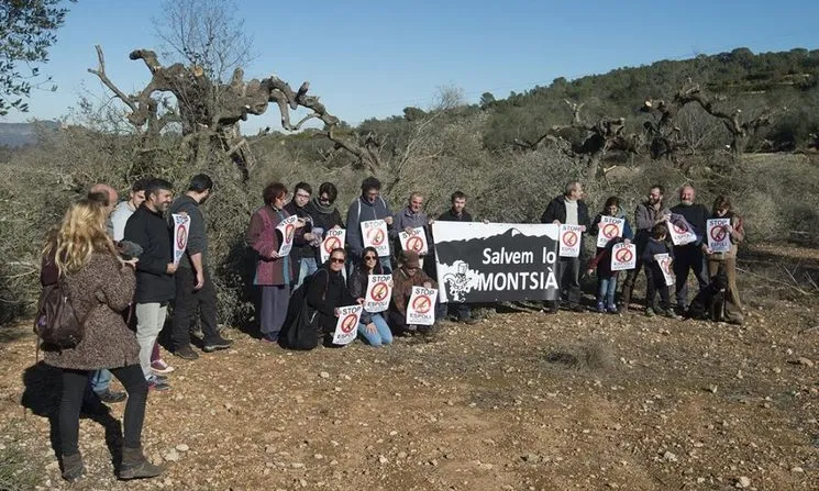 Entitats i ciutadania del Montsià es mobilitza per la defensa del paisatge centenari, i en algunes ocasions, mil·lenari.