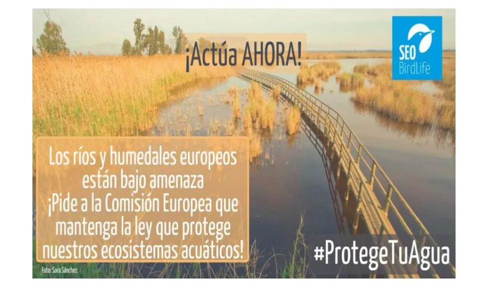 Protectwater és una campanya col·laborativa entre més d'un centenar d'entitats ambientals europees