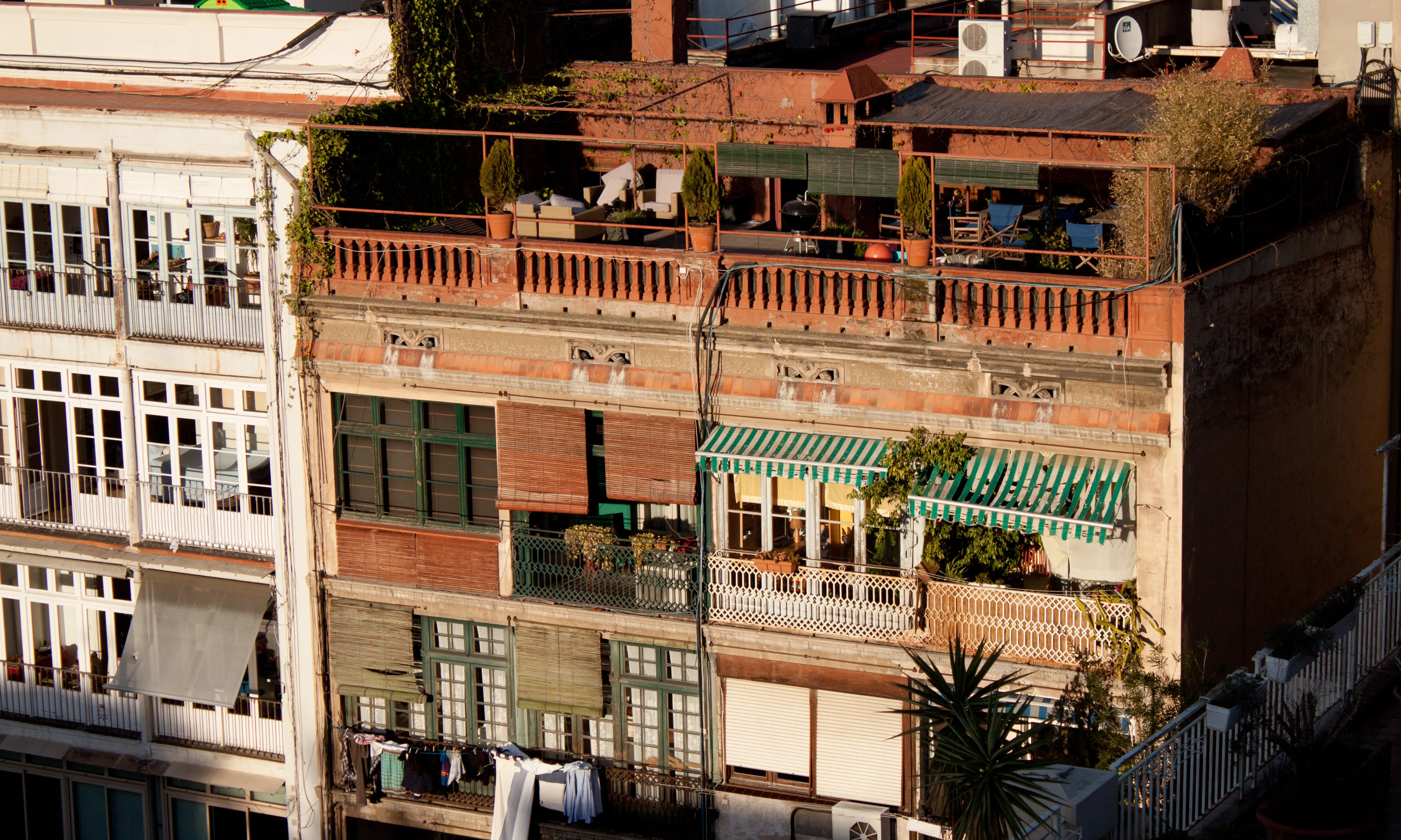 Part superior i terrat amb plantes en edifici de la ciutat de Barcelona