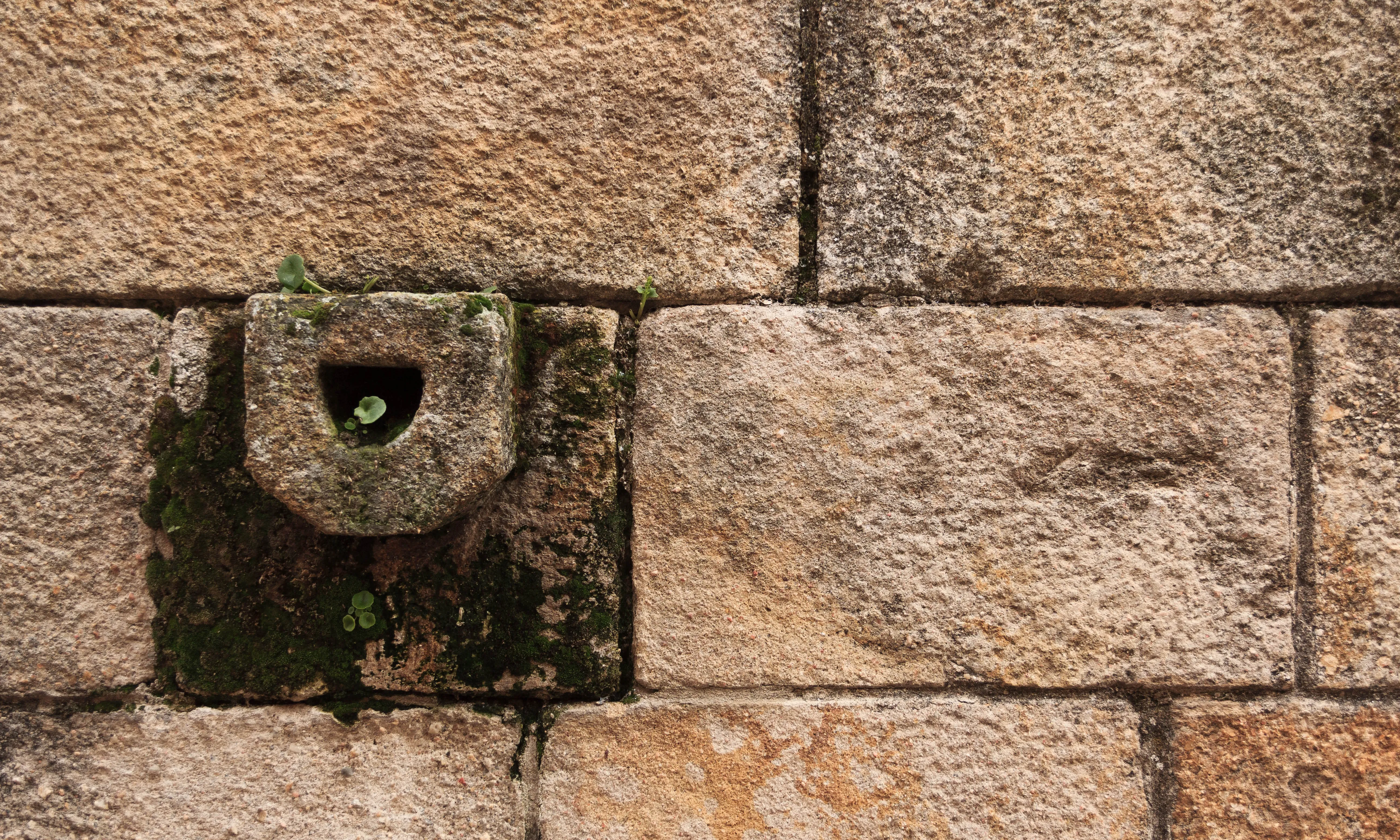 Paret de pedres amb font