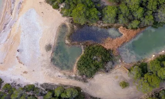 Imatge aèria de la llacuna de Torrent del Pi, espai en custòdia de l'associació Paisatges Vius, amb la col·laboració de Graëllsia