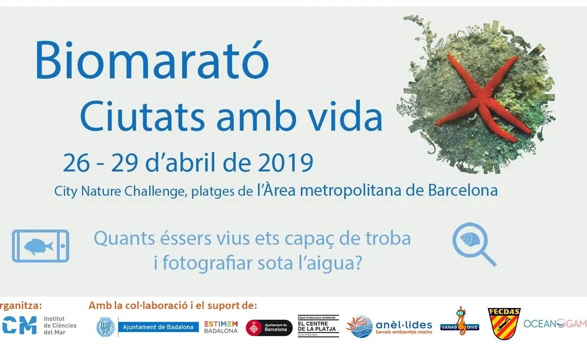 La biomarató al litoral del barcelonès és la gran carta de la ciutat per sumar observacions