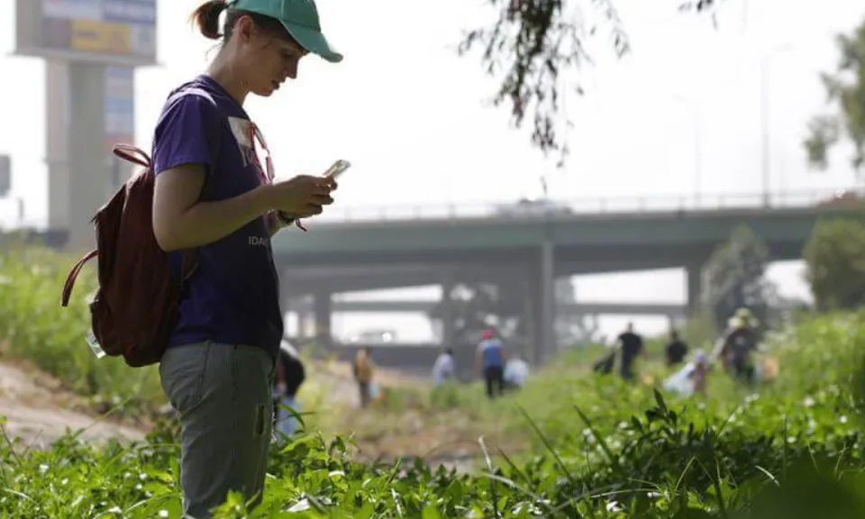 Més de 160 ciutats al món participen al City Nature Challenge 2019