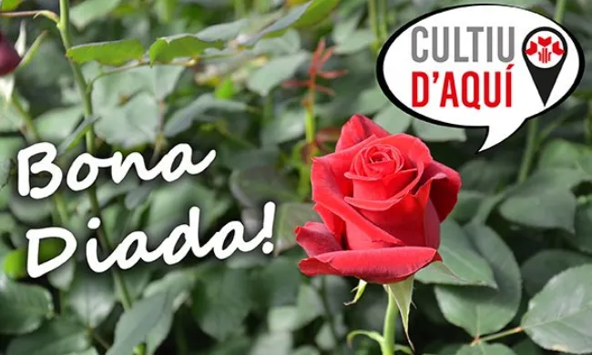 el sector de la flor ha creat la marca 'Cultiu d'aquí' precisament per donar visibilitat a la producció local. 