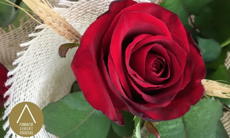 La Fundació Jubert Figueras elabora roses solidàries per afavorir les famílies que acullen.