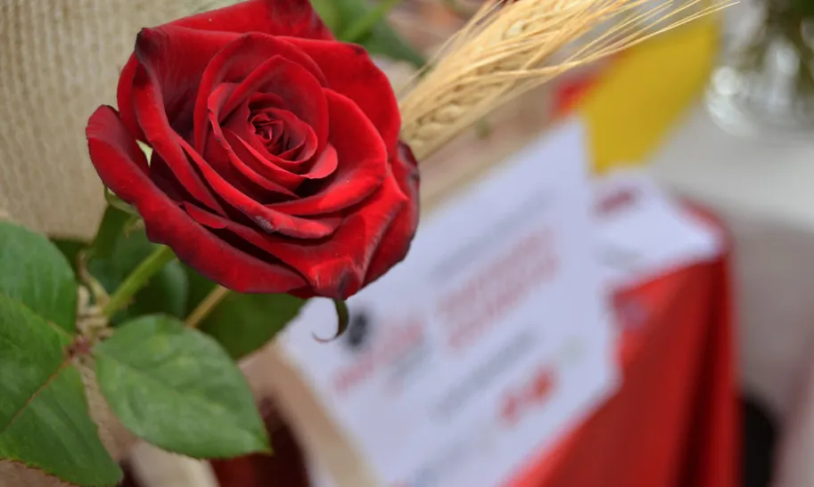 La Fundació Jubert Figueras ha llençat una crida de voluntariat per Sant Jordi.