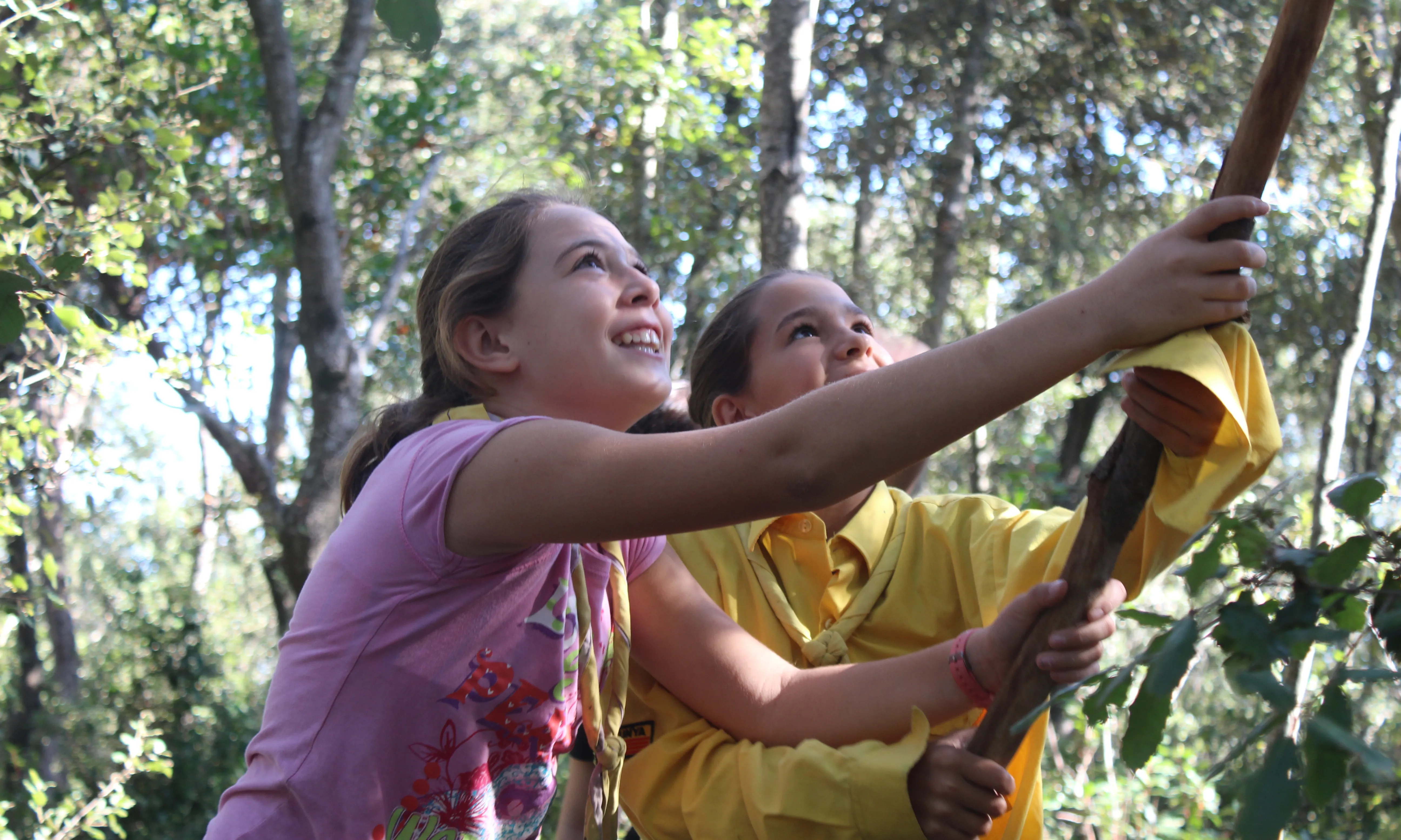 Dues nenes fent una construcció amb troncs al bosc.