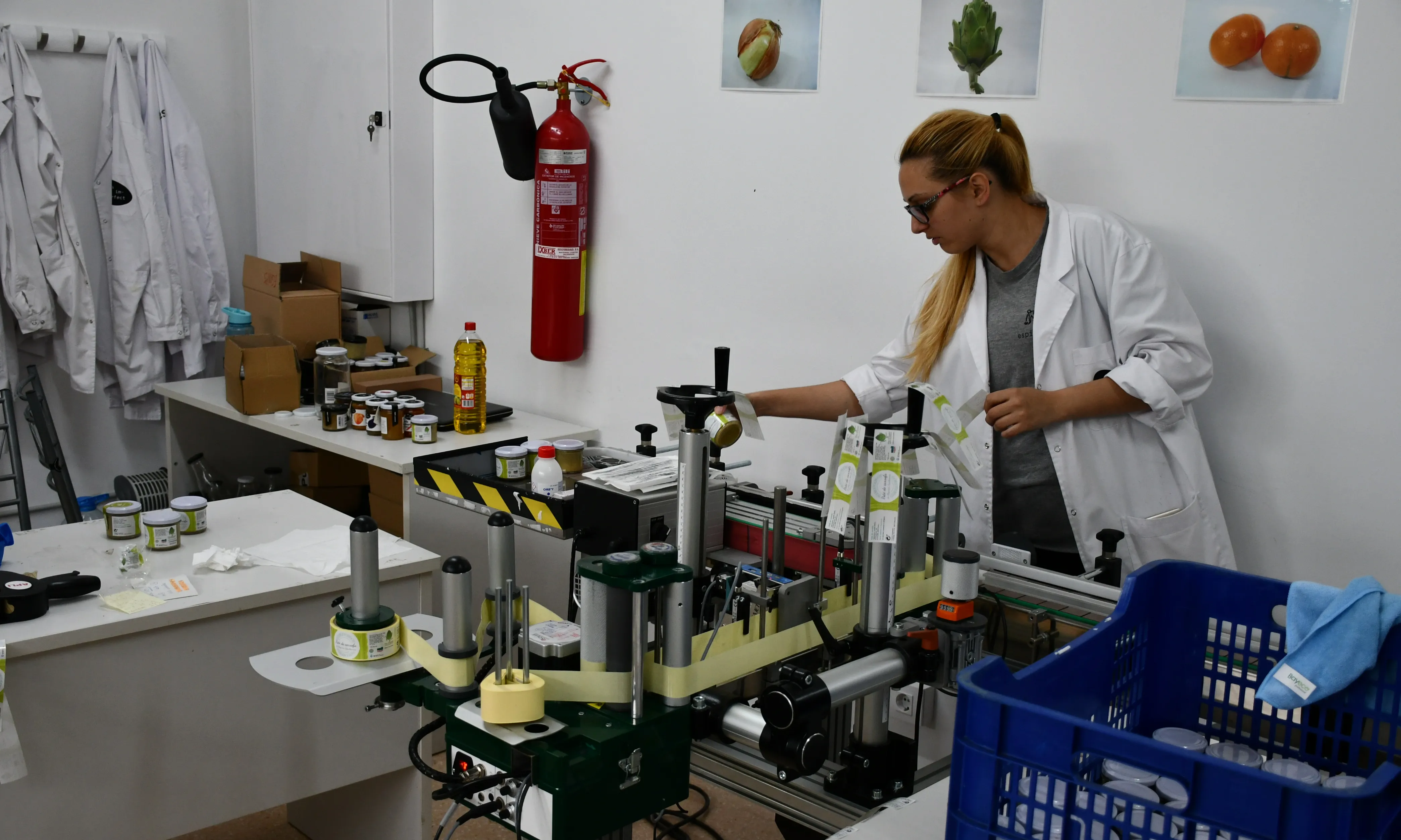 Espigoladors té programes d’inserció laboral i formació, sobretot al barri de Sant Cosme. Font: Suport- Associatiu.