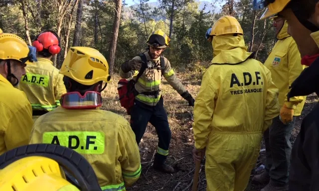 Formació de voluntariat al bosc
