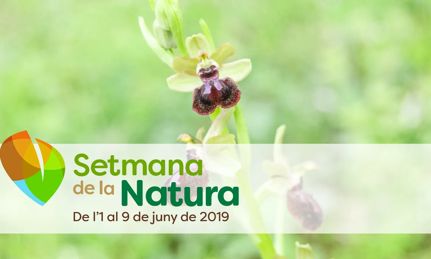 La Setmana de la Natura se celebra de l'1 al 9 de juny