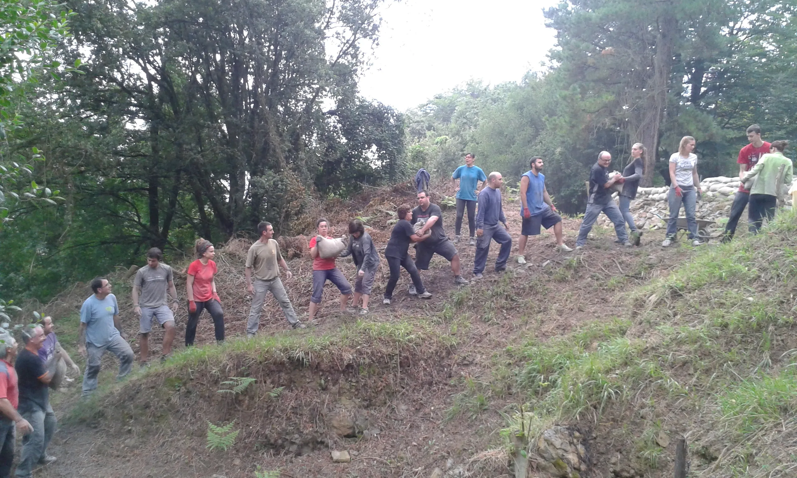 Joves treballant en caden enmig de la natura