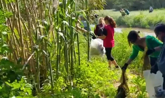 Grup de voluntaris i voluntàries a la passada edició del Let's clean up, a Parets del Vallès