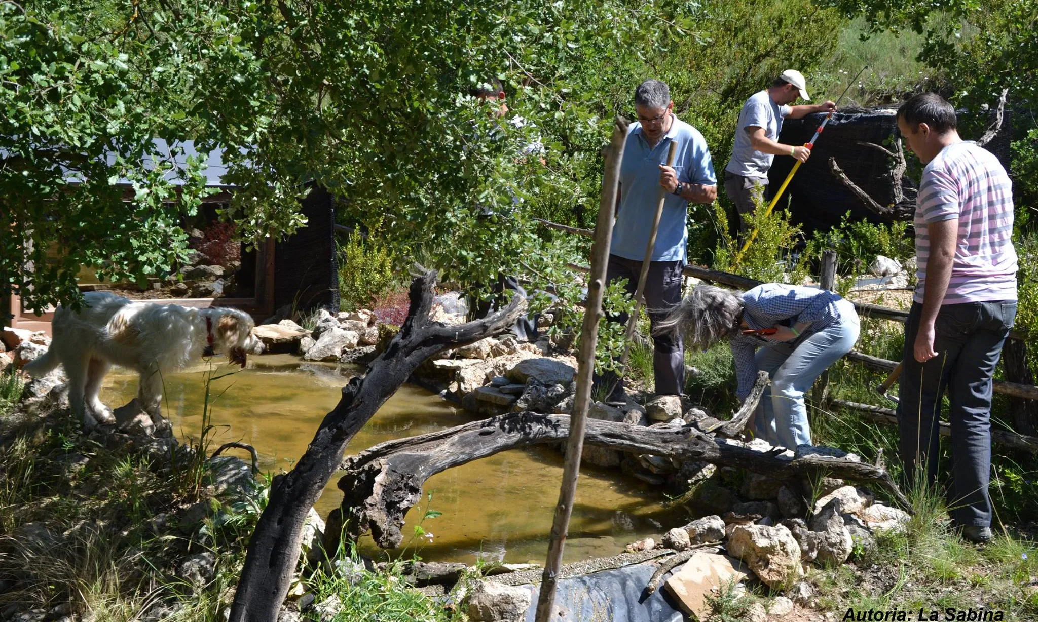Durant la Setmana Natura es pot participar d'activitats obertes de voluntariat ambiental