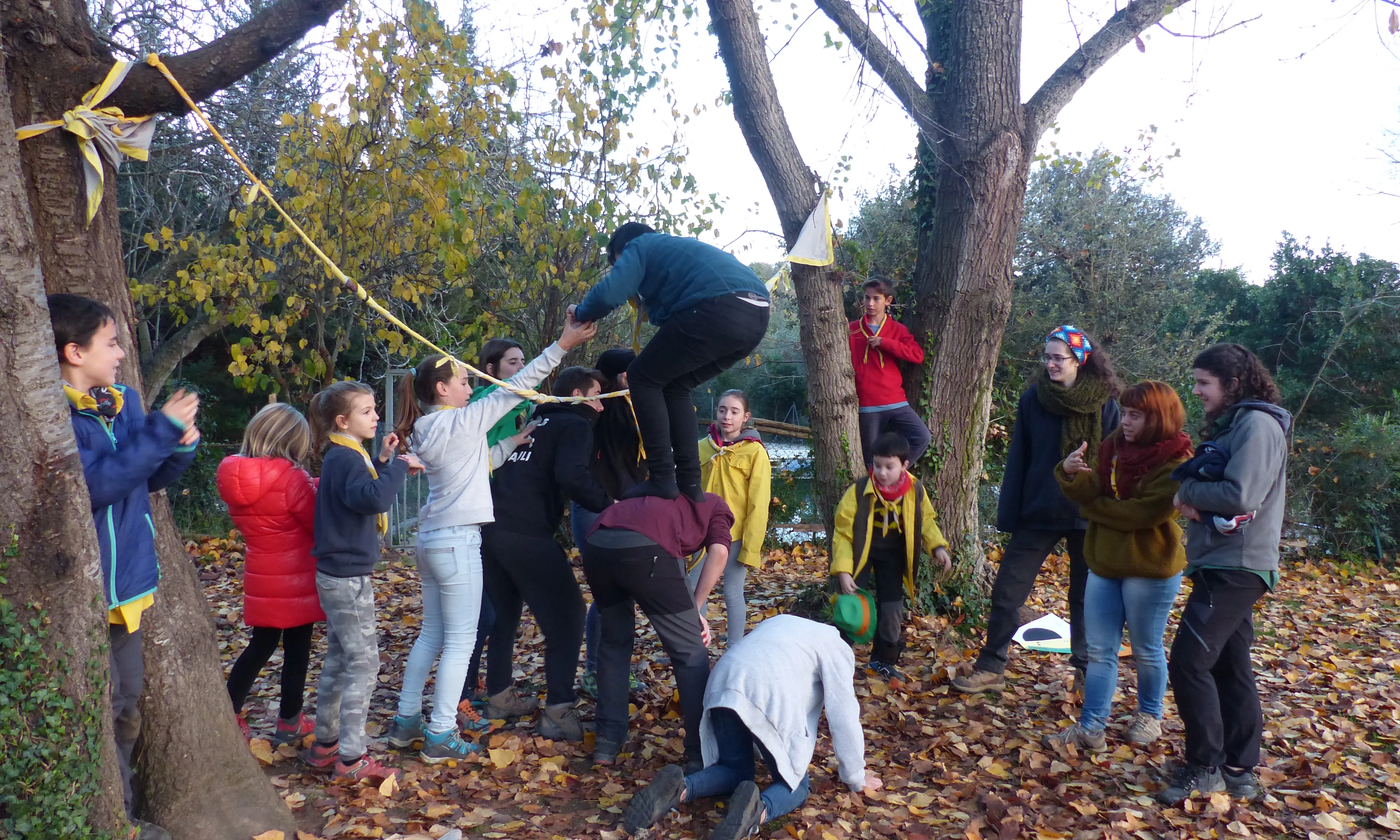 Un grup de joves jugant enb un bosc de fulls caduca.